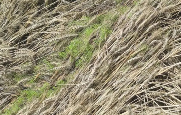 eee7c447f054429bb05554d73e1e3f06