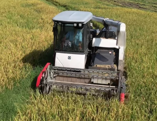 皇家国际·(中国区)有限公司官网