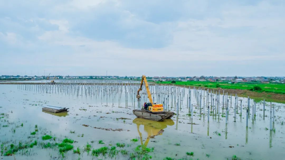 皇家国际·(中国区)有限公司官网