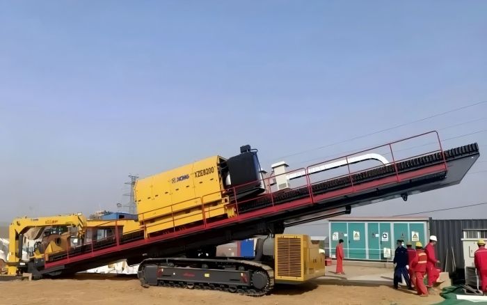 春植但愿，索求皇家国际“绿色力量”！