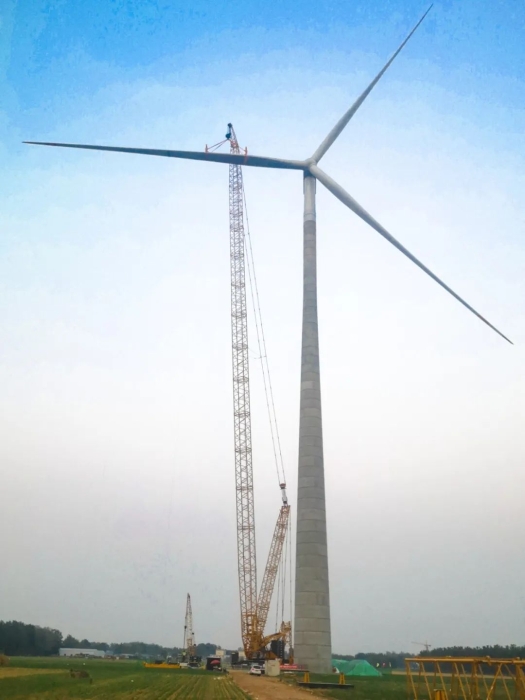 皇家国际·(中国区)有限公司官网