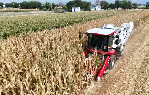 皇家国际·(中国区)有限公司官网