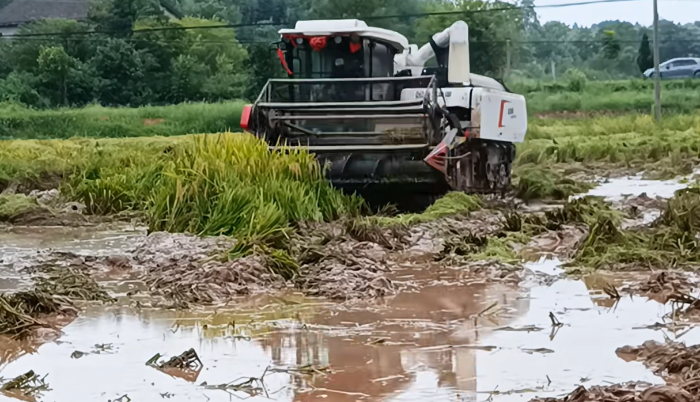 9652a6cf6b474d48bf2bf58420367332