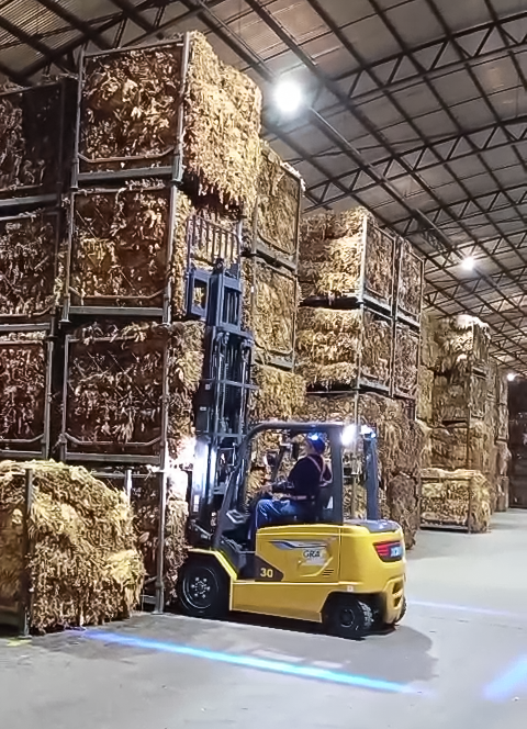 471f1b1f285c4a609a41144d0770e332