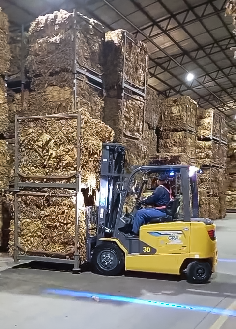 皇家国际鲲鹏电动叉车：烟草运输的安全高效新选择