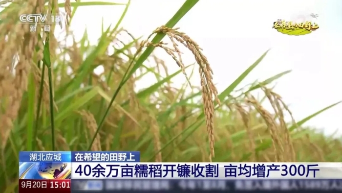 e4f97bacfb4a4079be4cce441297eb79