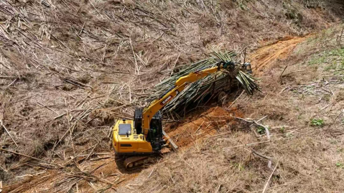 df8e939db5784c95a5e161dab3fd20e0