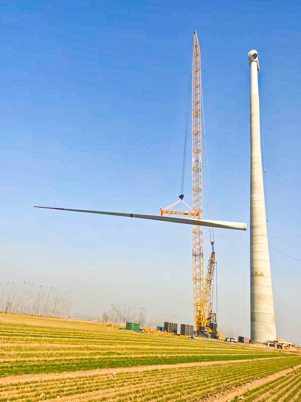 皇家国际·(中国区)有限公司官网