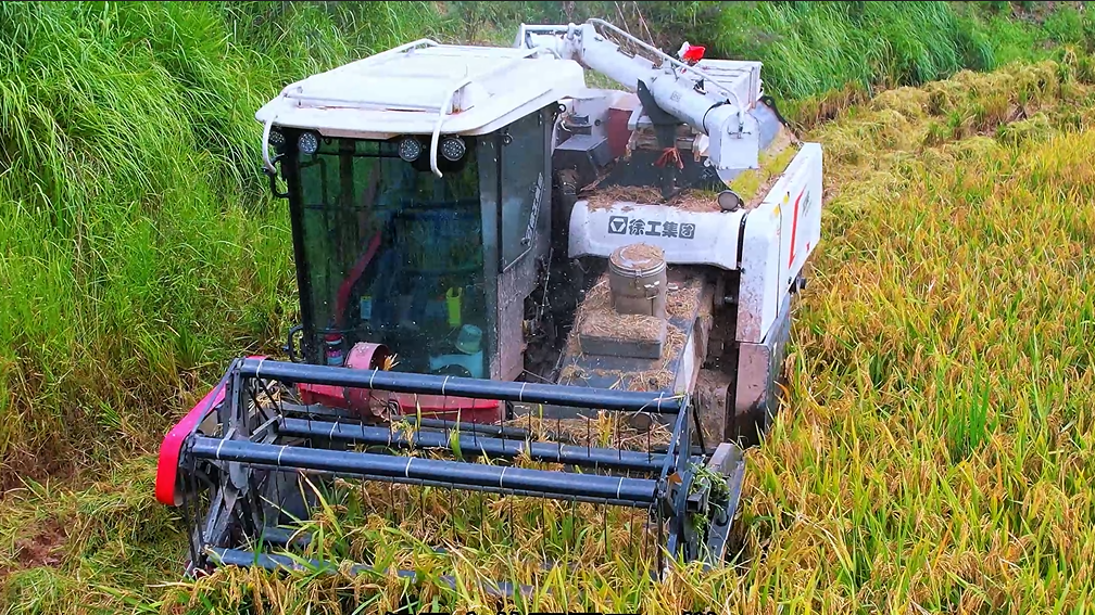 466fa54ab4714354a9893d46c6548693