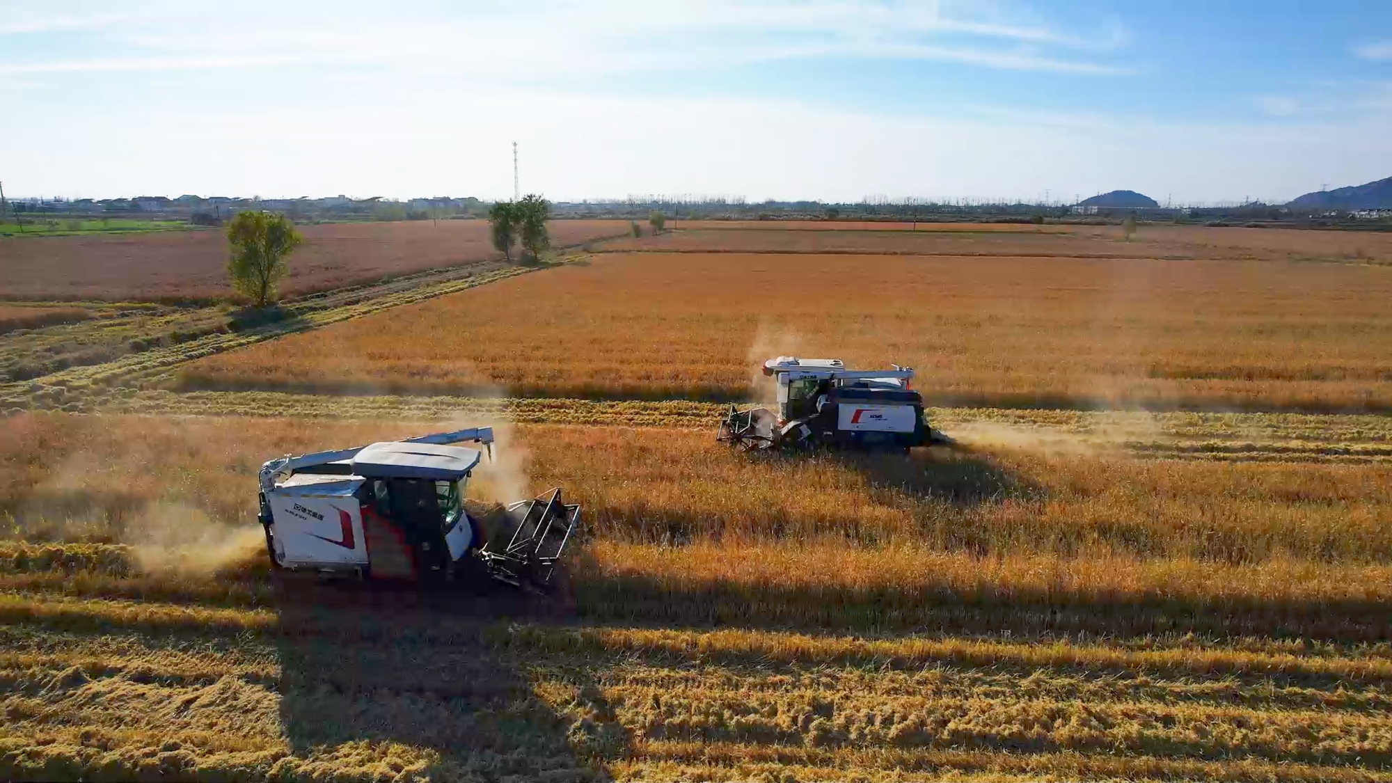 皇家国际·(中国区)有限公司官网