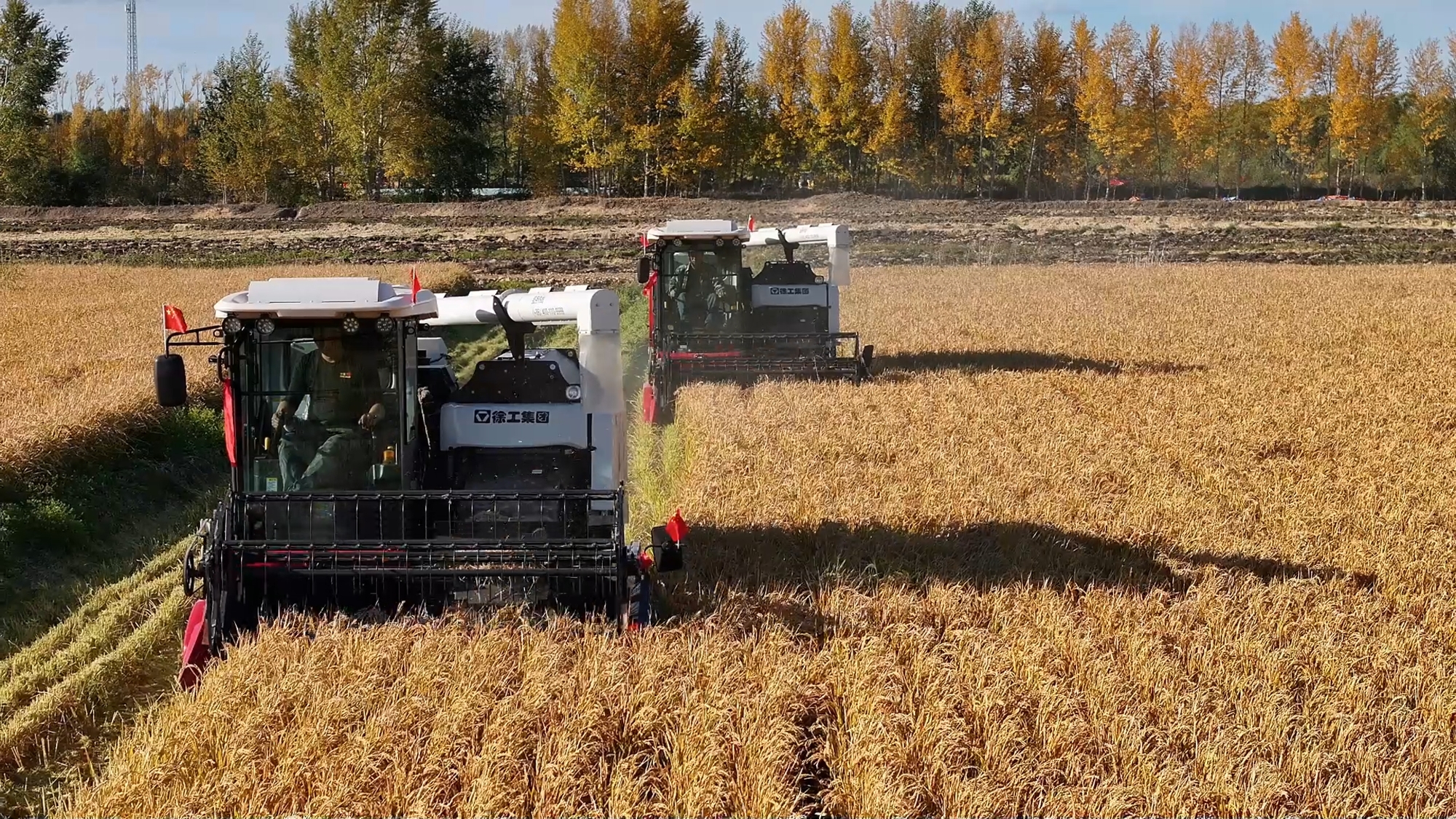 皇家国际·(中国区)有限公司官网